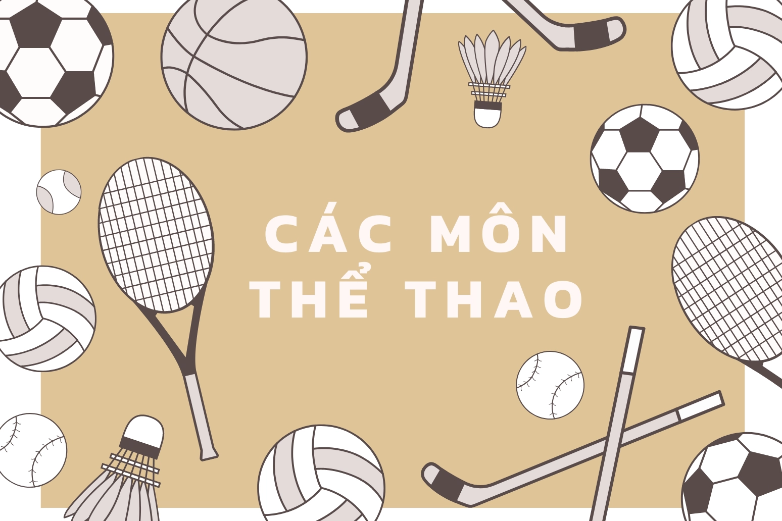 danh mục sản phẩm