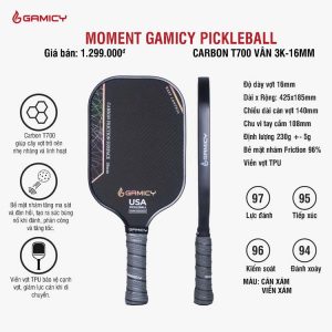 Vợt pickleball Burning Gamicy 